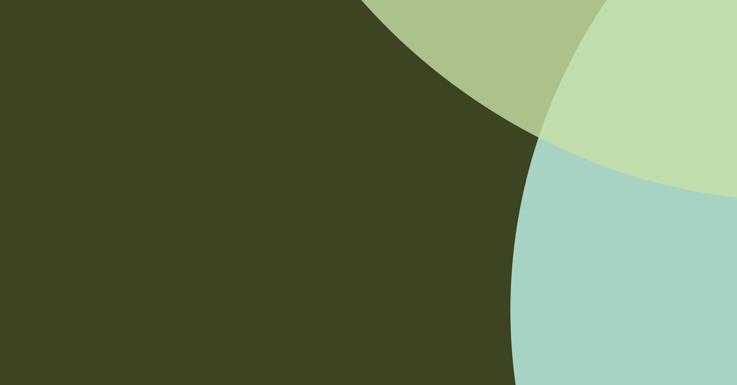 MGAs Review of the Year 2025